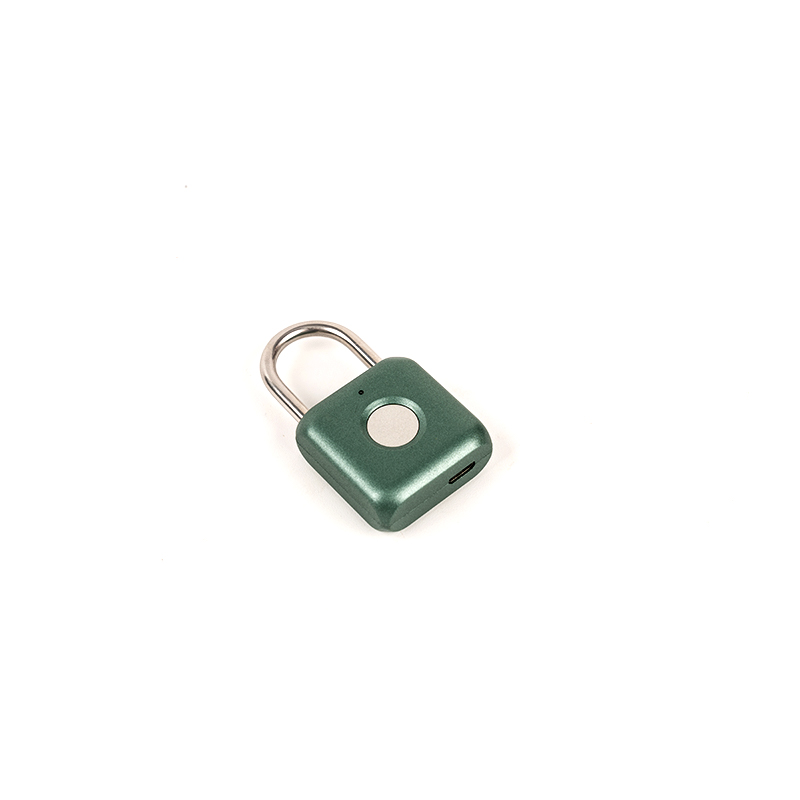 0.1kgの炭化鋼材料指紋南京錠